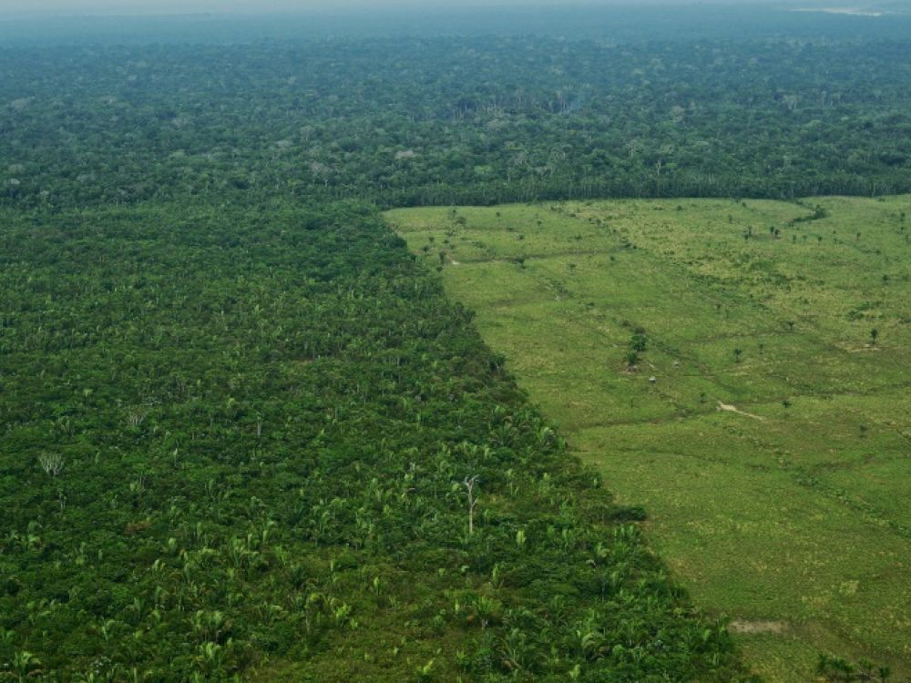 La souveraineté des États face à la question écologique : le cas du Brésil et de son Amazonie